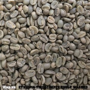 Yirgecheffe Coffee 1kg