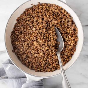 Brown Lentils